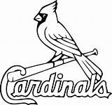 Cardinals Baseball Cardinal Clipartmag Texans Babe 49ers sketch template