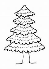 Pine Tree Coloring sketch template
