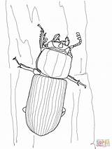 Beetle Bess Coloring Pages Drawing Printable sketch template