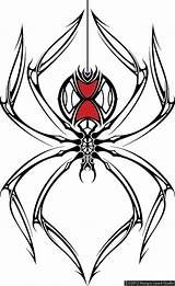 Spider Widow Tattoo Drawing Tribal Tattoos Drawings Designs Web Clipart Clipartbest Studio Lizard Hungry Color Getdrawings Choose Board sketch template