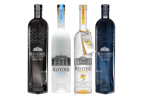 popular premium vodka brands