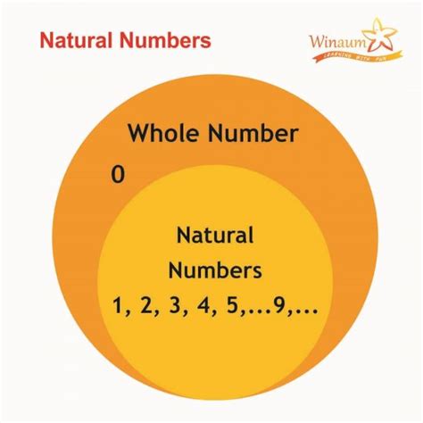 natural numbers definition examples properties winaum learning