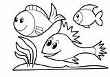 Fish Coloring Printable Kindergarten Preschool sketch template