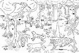 Colorare Disegni Foresta Murales Bambini Dolls Ufficio Creatività Cartoncino Carta sketch template