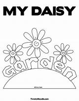 Daisy Coloring Garden Pages Flower sketch template