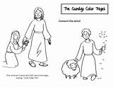 Ordinary Sunday Time 20th Color Pages Catholic Adriana Saucedo D Written Published August Under Place Kids sketch template