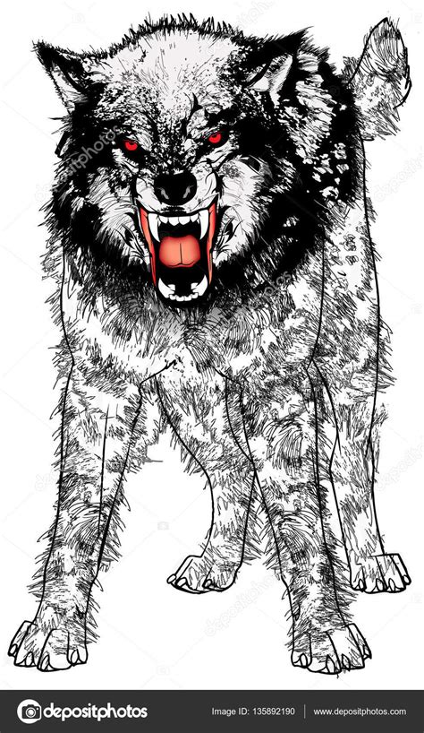 Angry Wolf Growling — Stock Vector © Basheeradesigns 135892190