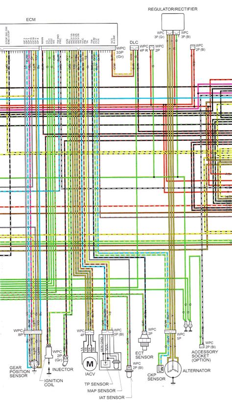 honda trx  wiring diagram iot wiring diagram