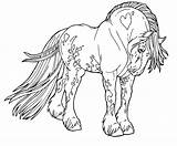 Coloring Horse Pages Shire Pony Draft Printable Color Print Beautiful Template Getcolorings Getdrawings sketch template
