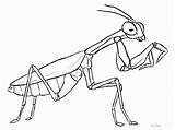 Mantis Praying Religiosa Deus Louva Drawings Gottesanbeterin Sketches Outline Insectos Animais Mantide Colorir Insetos Cinderela Forb Cientificos Prey Zeichnen Mantises sketch template