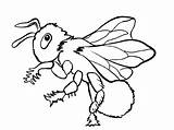 Coloring Insects Justcolor Homecolor sketch template