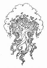 Tree Life Lebensbaum Ausmalbilder Tattoo Gemerkt Tattoos Amzn Von Skizze Baum sketch template