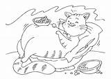 Cat Fat Coloring Pages Sleeping Large sketch template
