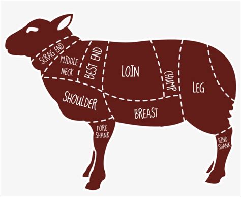 meat map   lamb clipart lamb  mutton sheep cuts