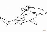 Shark Hammerhead Requin Martello Pesce Primanyc Squalo Marteau Nelloceano Arouisse sketch template