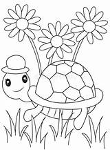 Coloring Turtle Kids Dreamstime Book Illustration sketch template