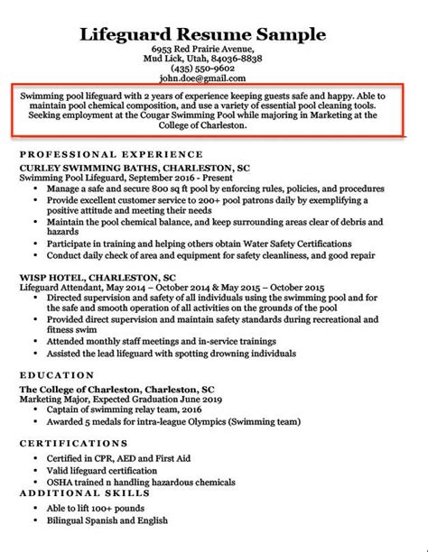 resume objective examples  students  professionals