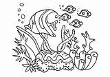 Coral Reef Coloring Pages Fish Drawing Barrier Great Sea Animals Template Snake Drawings Group Underwater Getdrawings Getcolorings Color Printable Colorings sketch template