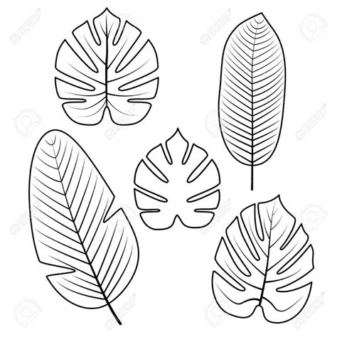 tropical palm leaves isolated  white background outline vector
