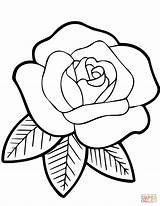 Rosa Jordi Vidriera Pintar Supercoloring Blumen Tige Recherche Rosen Vitral Coloringareas sketch template