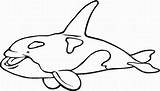 Orcas Orca Imprimir Imágenes sketch template