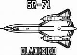 Blackbird sketch template