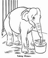 Zoo Coloring Pages Animal Printable Color Library Clipart Elephants sketch template