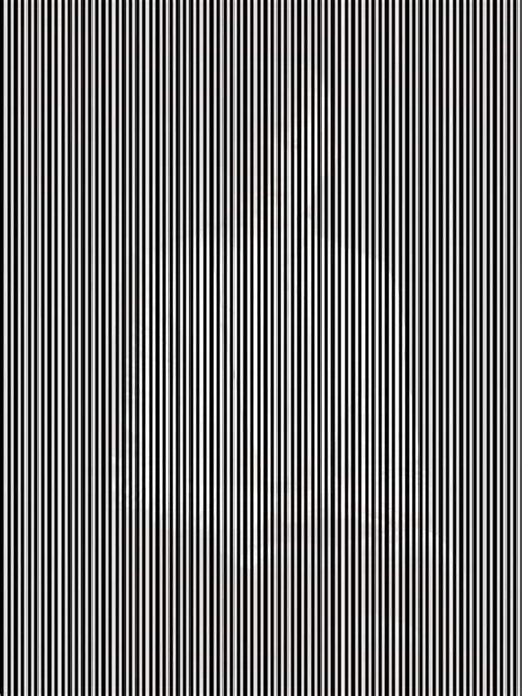 Tilt Your Head To See This Hidden Image Optical Illusion