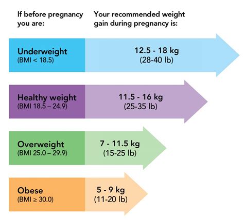 weight gain  pregnancy similacca