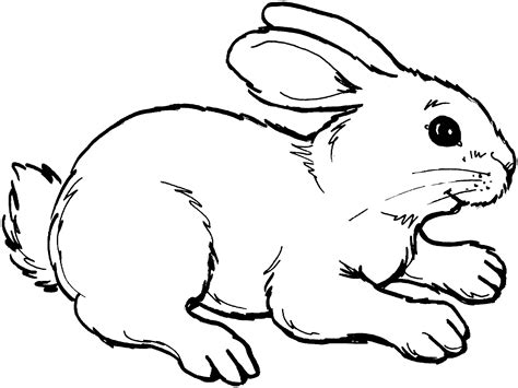 printable bunny rabbits printable word searches