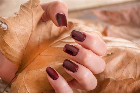 Top 5 Fall Nail Colors Addison Guide