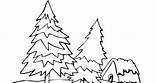 Pine Tree Ponderosa Coloring Pages Template sketch template