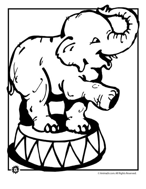 circus elephant coloring pages ideas  kids