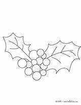 Holly Coloring Pages Leaf Berry Leaves Getcolorings Colouring sketch template