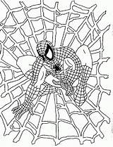 Aranha Colouring Spyderman épinglé Ausmalbild Coloration Imprimable Monio Nathalie Personnages Dottor Coloringsun Azcoloring sketch template