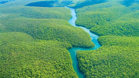 ancient indigenous communities shaped  amazon landscape