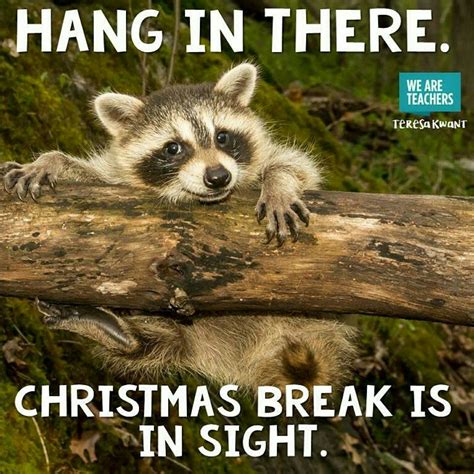 hang   christmas break   sight teacher quotes funny teacher memes teaching memes