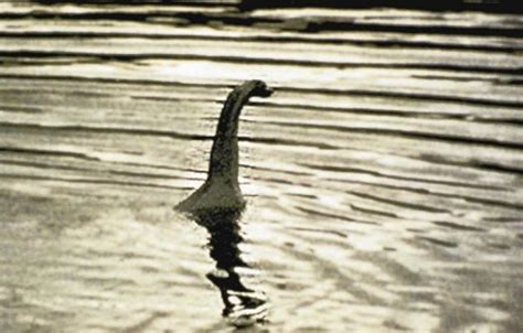 why nessie may be dead metro news