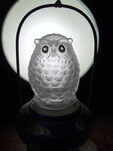 Frosted Glass Owl Lamp A Small Lamp By Pifco