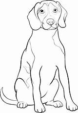 Beagle Coloring Pages Dog Perro Getcolorings Printable Getdrawings 1300px 91kb sketch template