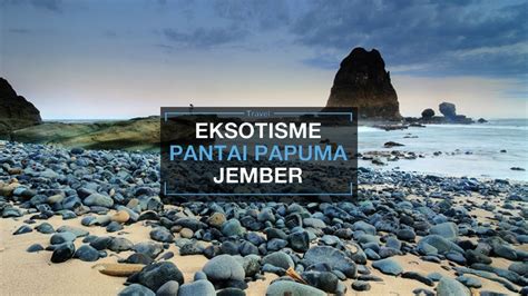 Pantai Papuma Satunya Pantai Tersembunyi Di Jember Yang Memiliki