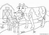 Colouring Cow Cows Calf Scene Print Kids sketch template