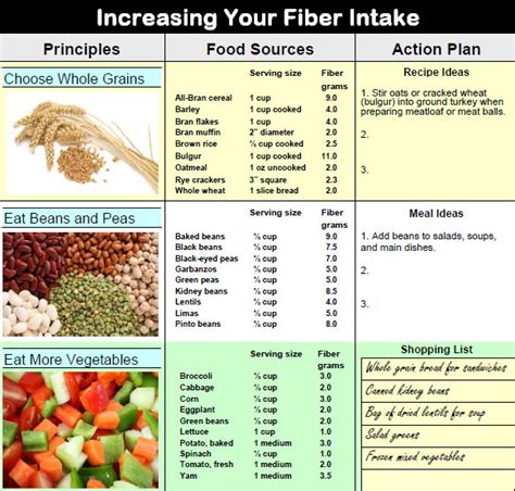 diet plan high  fiber  protein diet plan