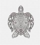 Turtle Pngegg Kolase Marijuana Themed Pola sketch template