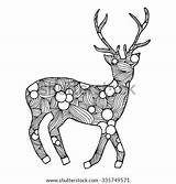 Deer Coloring Adult Drawn Vector Zentangle Illustration Music Stress Isolated Anti Hand Details High Style Shutterstock Footage Vectors Illustrations Search sketch template