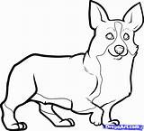 Corgi Drawing Line Drawings Coloring Pages Draw Outline Puppy Dogs Dog Clipart Step Cliparts Comments Pets Animals Animal Dawn Paintingvalley sketch template