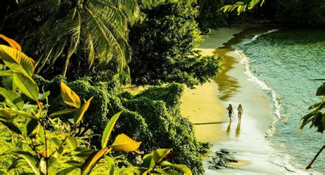 5 Increíbles Playas Del Pacífico Colombiano Turismocity