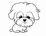 Coloring Maltese Pages Dog Colorear Dibujos Para Sausage Maltipoo Maltes Perro Con Color Dibujo Coloringcrew Perros Animales Animals Dogs Google sketch template