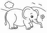 Coloring Elephant Baby Big Cute Pages African Eyed sketch template