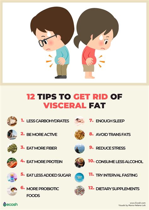 Visceral Fat Why Is Visceral Fat Dangerous To You And 12